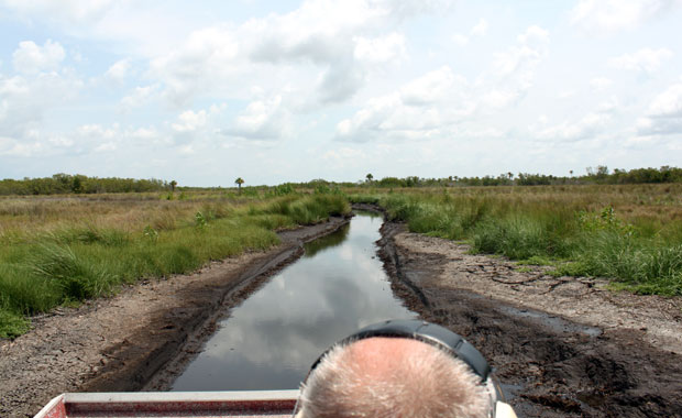 Airboat tour dans les Everglades