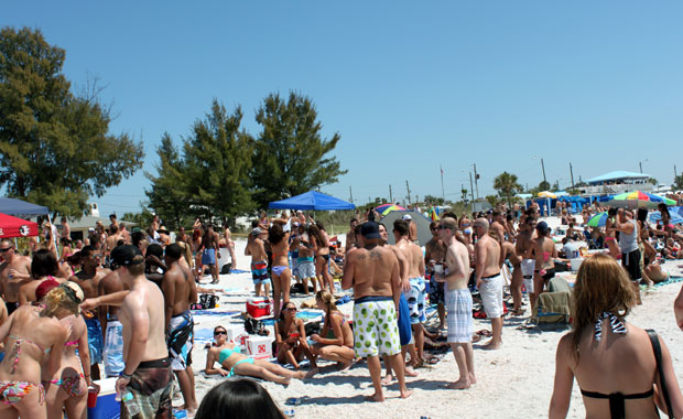 Caddys on the Beach