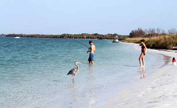 Fort Desoto - North Beach