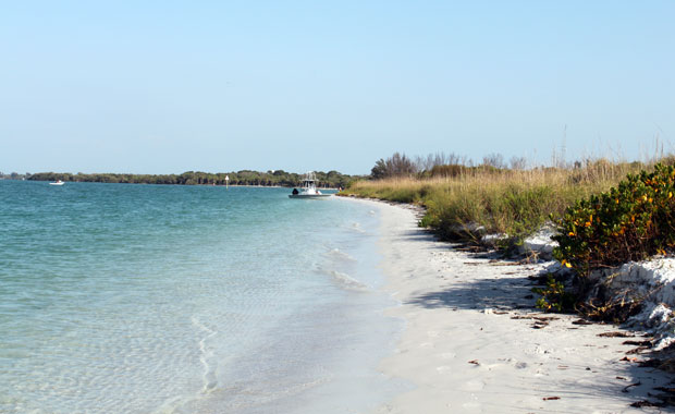 Fort Desoto - North Beach