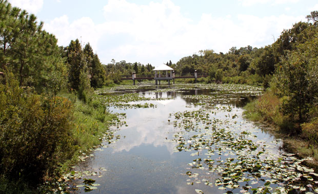 Le Jardin Botanique de Largo