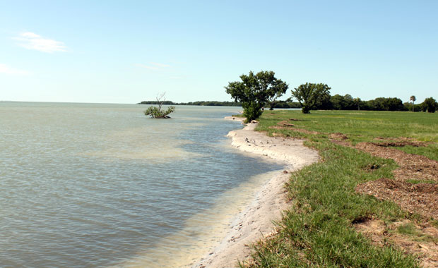 Week-end Autour de Miami : Les Everglades