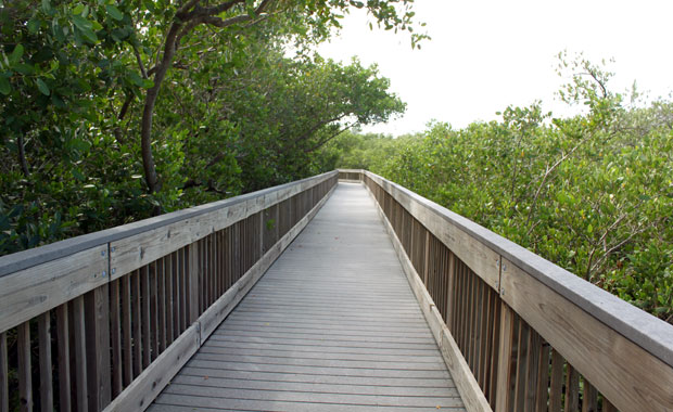 A la découverte de Weedon Island