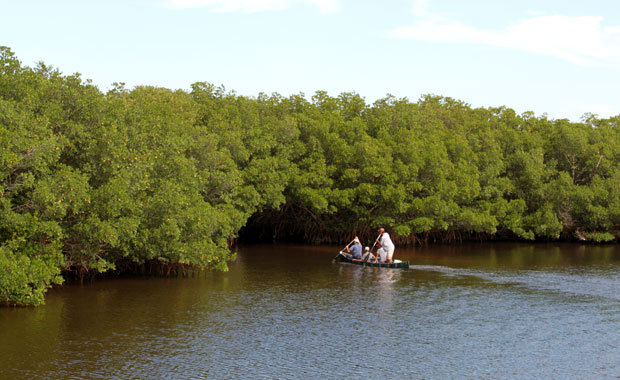 A la découverte de Weedon Island