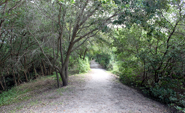 A la découverte de Weedon Island