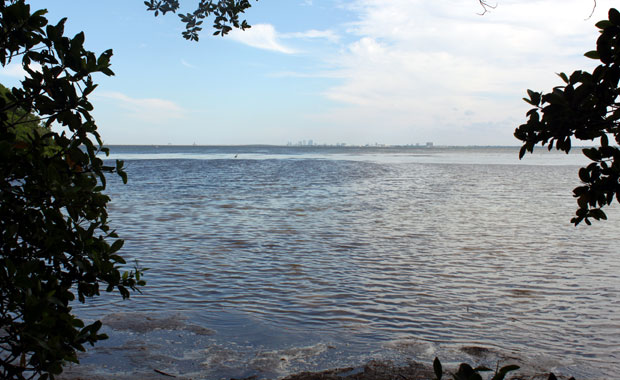 A la découverte de Weedon Island