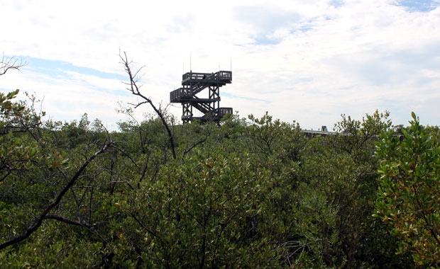 A la découverte de Weedon Island