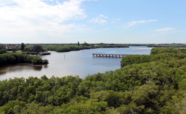 A la découverte de Weedon Island