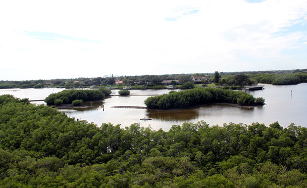 A la decouverte de Weedon Island