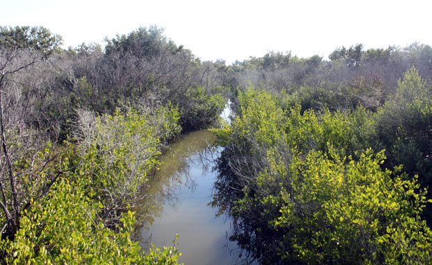 Boca Ciega Millennium Park