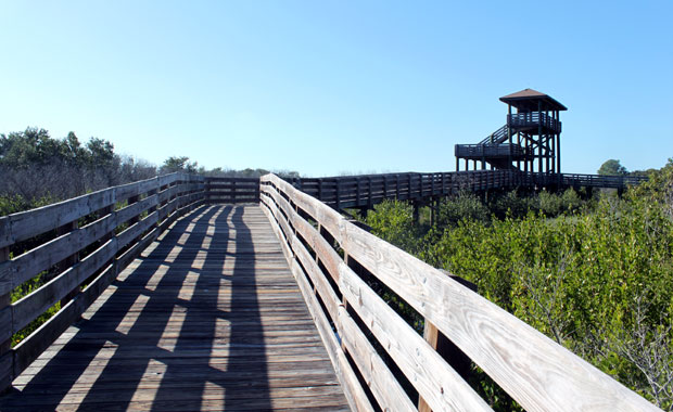 Boca Ciega Millennium Park