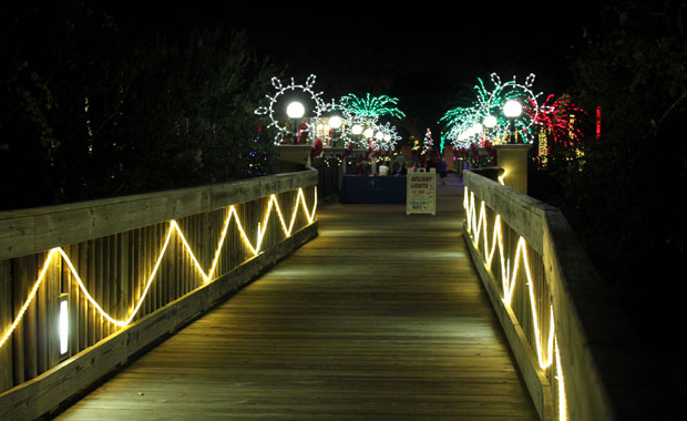 Le jardin botanique de Largo tout en lumière