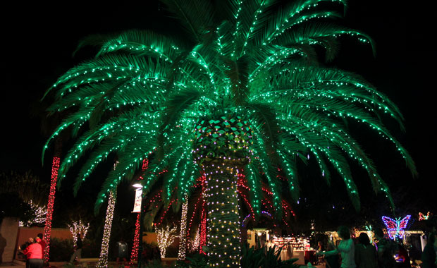 Le jardin botanique de Largo tout en lumière