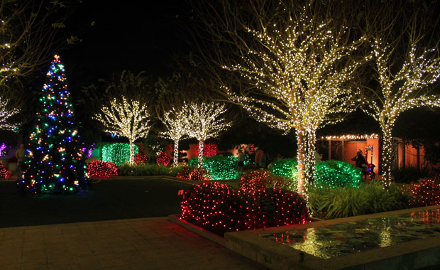 Le jardin botanique de Largo tout en lumière