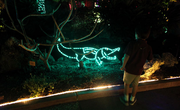 Le jardin botanique de Largo tout en lumière