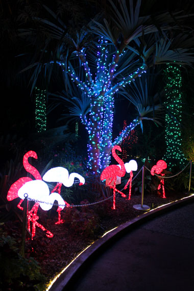 Le jardin botanique de Largo tout en lumière