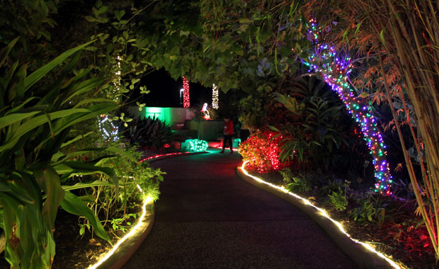 Le jardin botanique de Largo tout en lumière