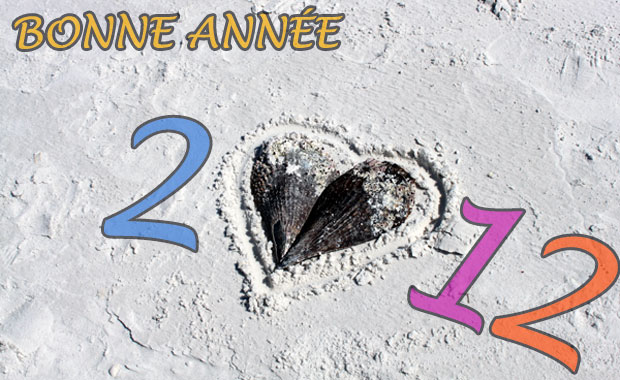 Bonne annee 2012