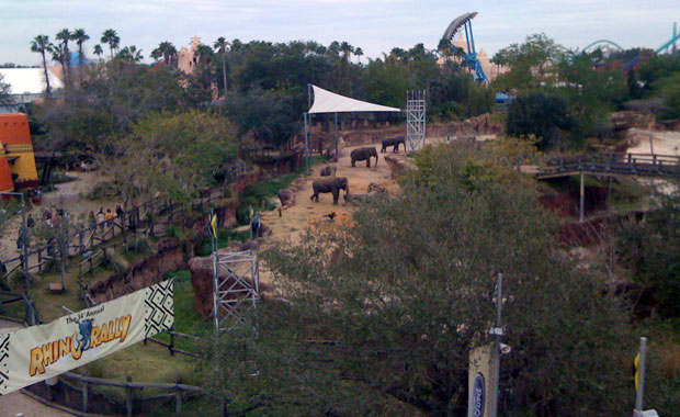 Busch Gardens en Semaine