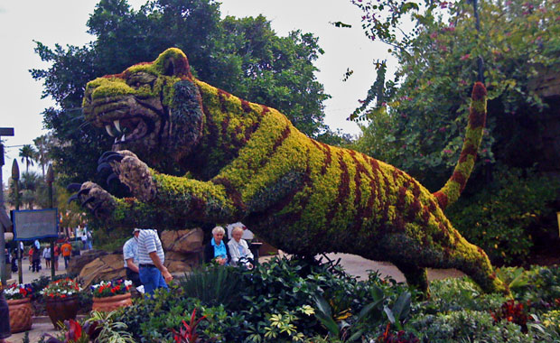 Busch Gardens en Semaine