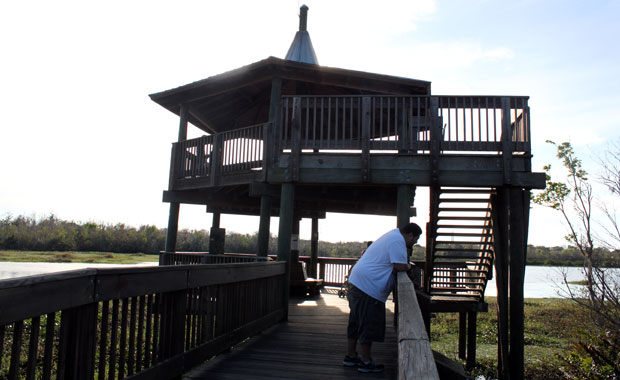 Fin d'après-midi à Sawgrass Lake Park