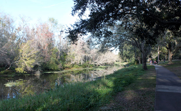 Fin d'après-midi à Sawgrass Lake Park