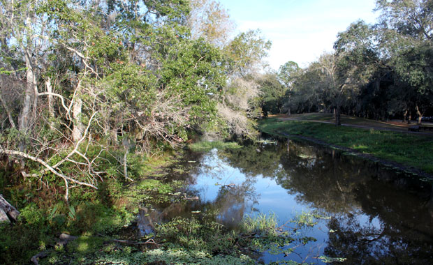 Fin d'après-midi à Sawgrass Lake Park