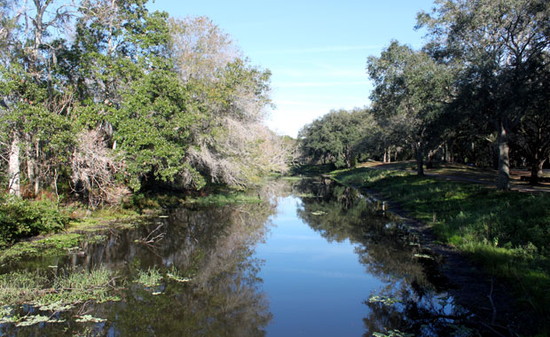 Fin d'après-midi à Sawgrass Lake Park