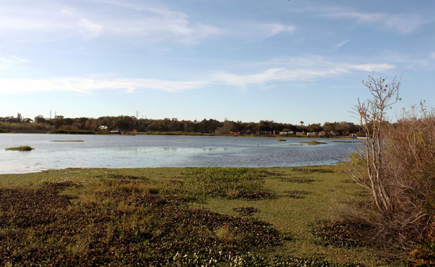 Fin d'après-midi à Sawgrass Lake Park