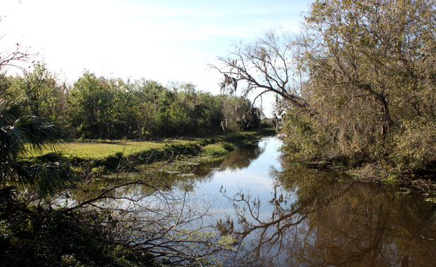 Fin d'après-midi à Sawgrass Lake Park