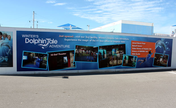 Visite du Clearwater Marine Aquarium et de Winter le Dauphin Visite du Clearwater Marine Aquarium et de Winter le Dauphin