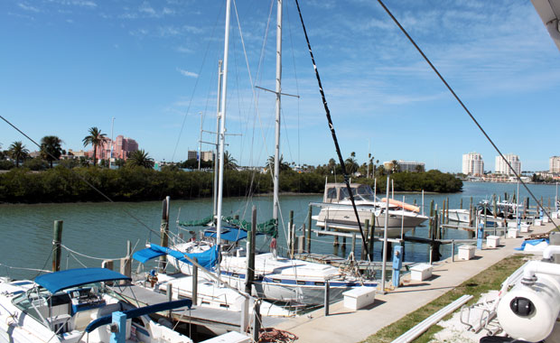 Visite du Clearwater Marine Aquarium et de Winter le Dauphin