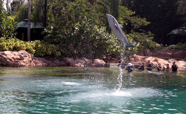 Discovery Cove Orlando