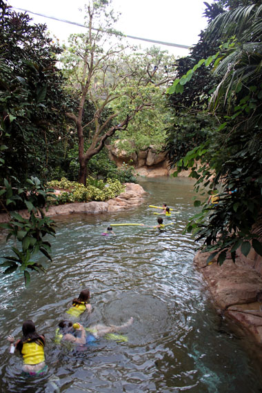 Discovery Cove Orlando